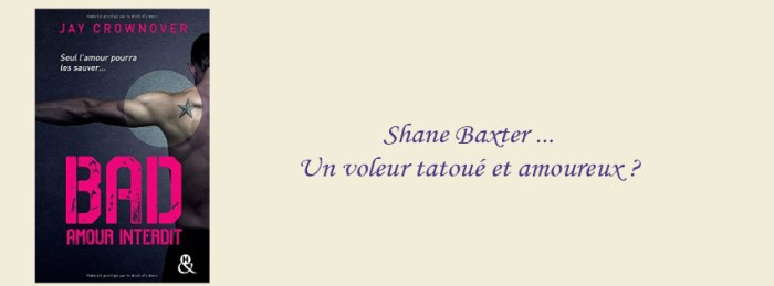 facebook_bouquineuse