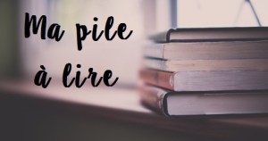 ma-pile-c3a0-lire