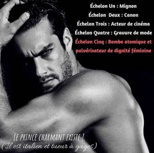 Leprincecharmantexiste